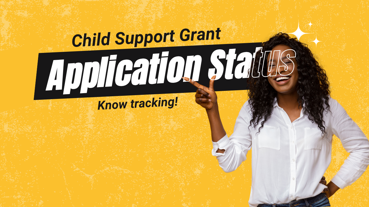 child support grant application status